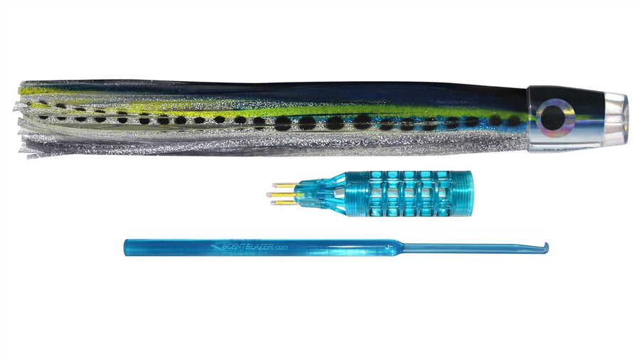 Sardine