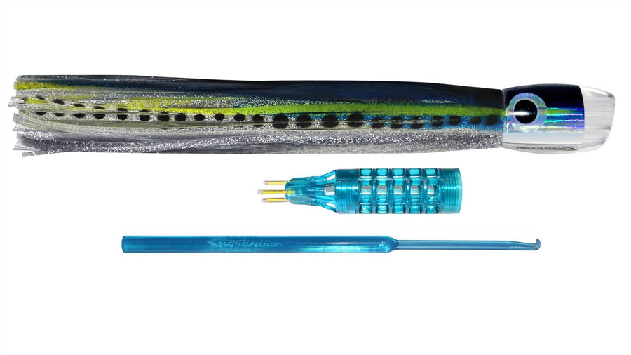 Sardine 12