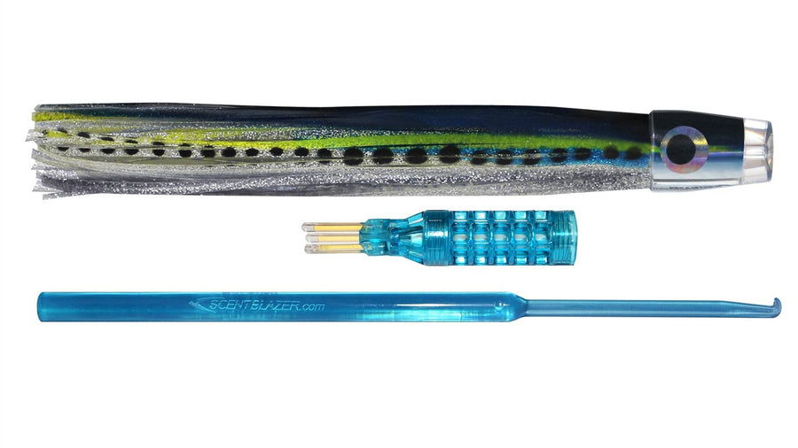 Sardine 8