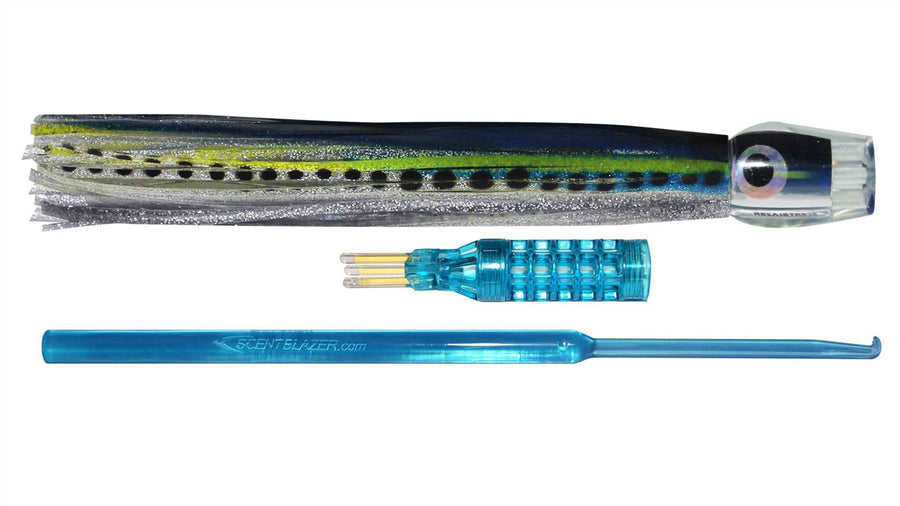 Sardine 8