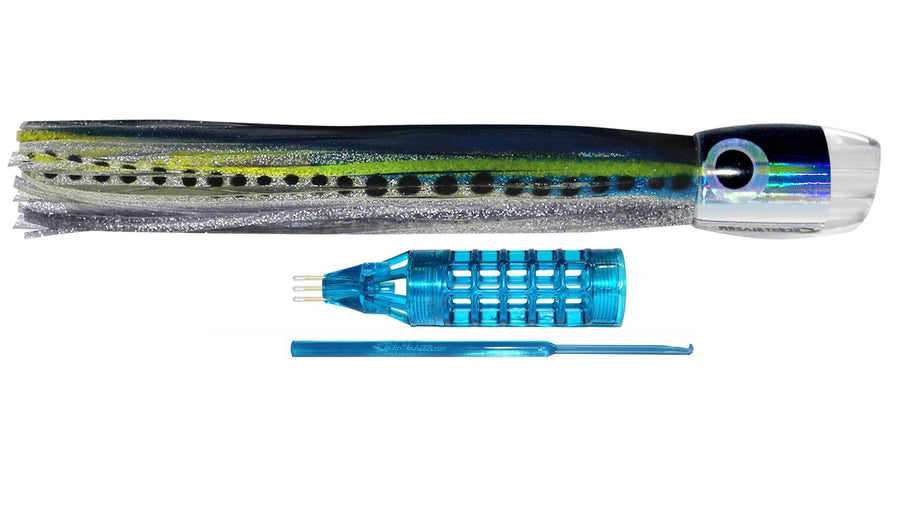 Sardine 18